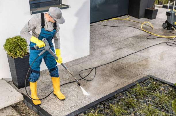 Best Exterior Home Cleaning  in St Helen, MI